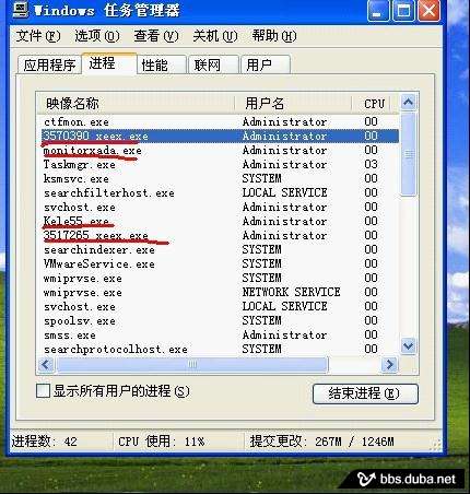 溫柔殺手病毒-進(jìn)程