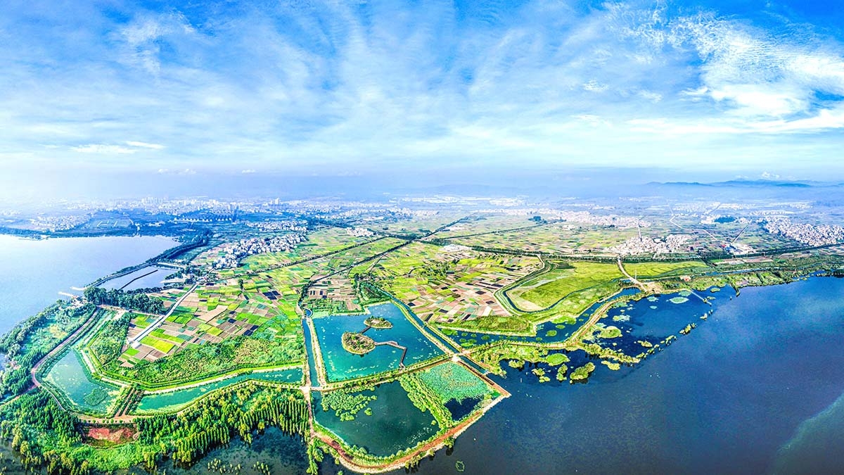 星云湖南岸濕地、湖濱帶提質(zhì)改造工程